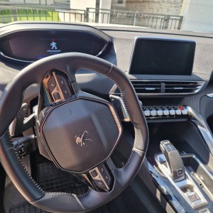 Peugeot 3008,Automatik F1-2020god