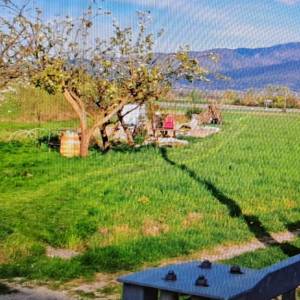 Prodaje se građevinsko zemljište  u Pojatnom blizu Zaprešića