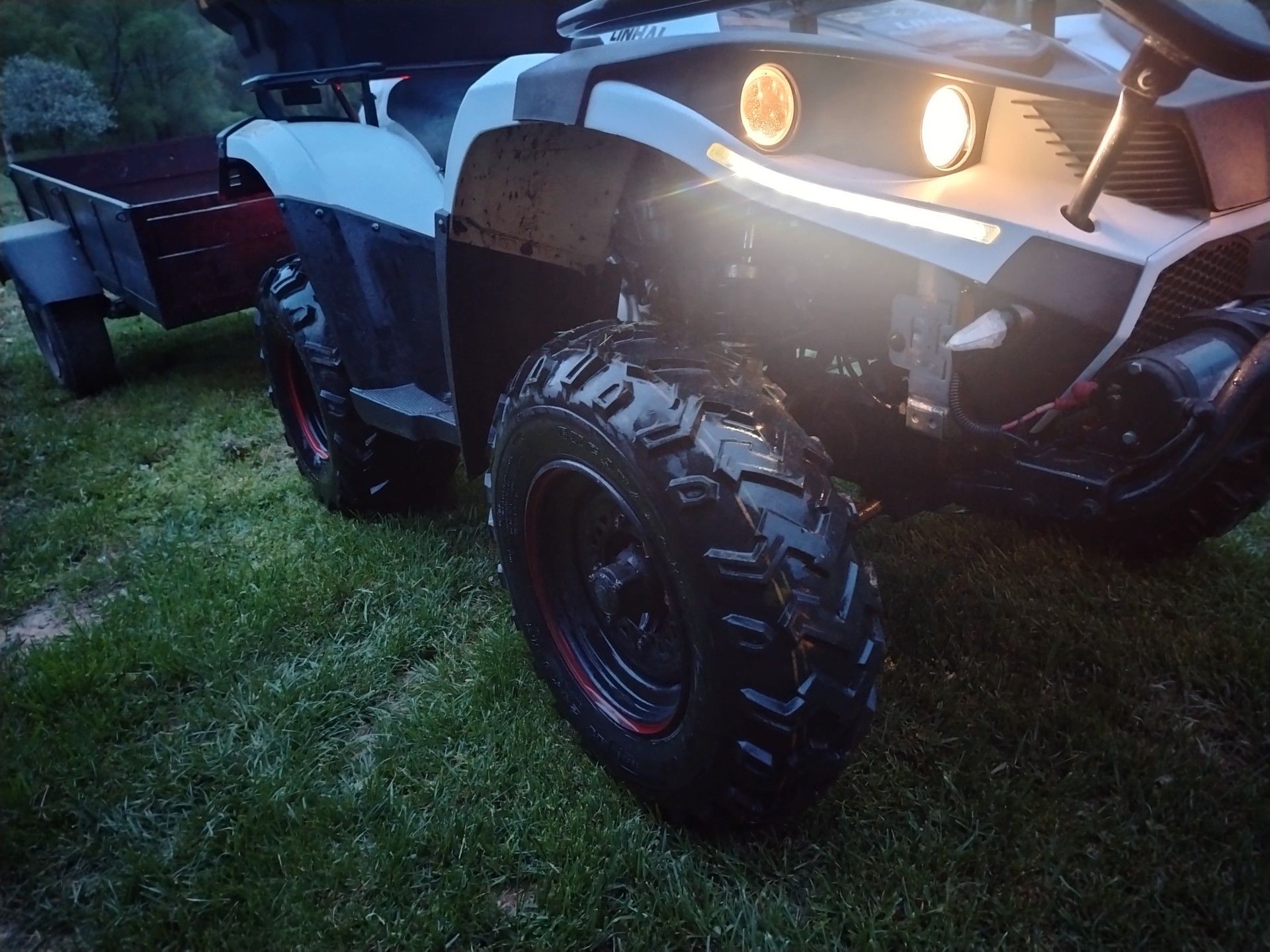 Quad
