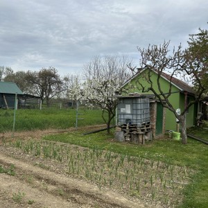 Salaš s vikendicom