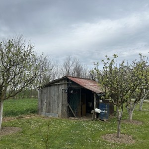 Salaš s vikendicom