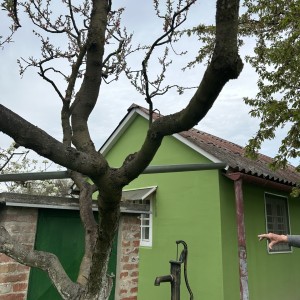 Salaš s vikendicom