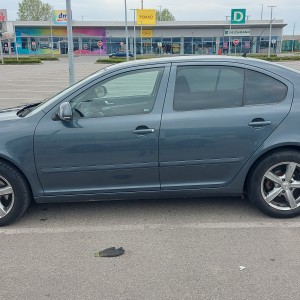 ŠKODA OCTAVIA, 1.9 TDI, 2010 g.