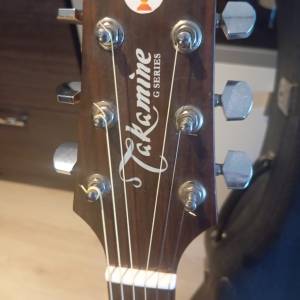 Takamine G series