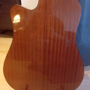 Takamine G series