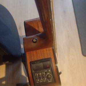 Takamine G series