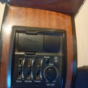 Takamine G series