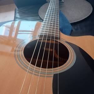 Takamine G series