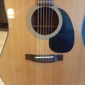 Takamine G series