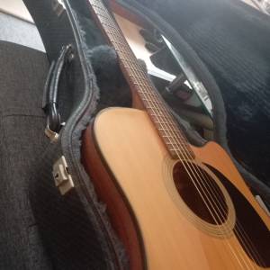 Takamine G series