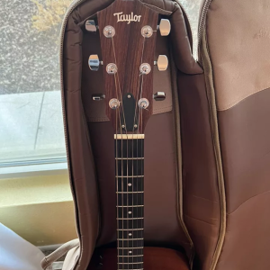 Taylor 110e, kofer
