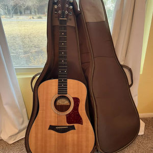 Taylor 110e, kofer