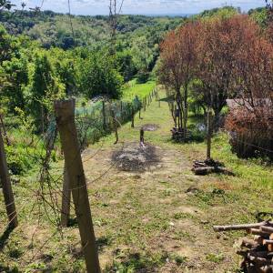 VIKENDICA U DUBRAVI- Granešina Oporovečki vinogradi