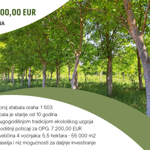 5.5 ha voćnjaka, 1500 stabala oraha, EKO OPG, osigurane polj.potpore