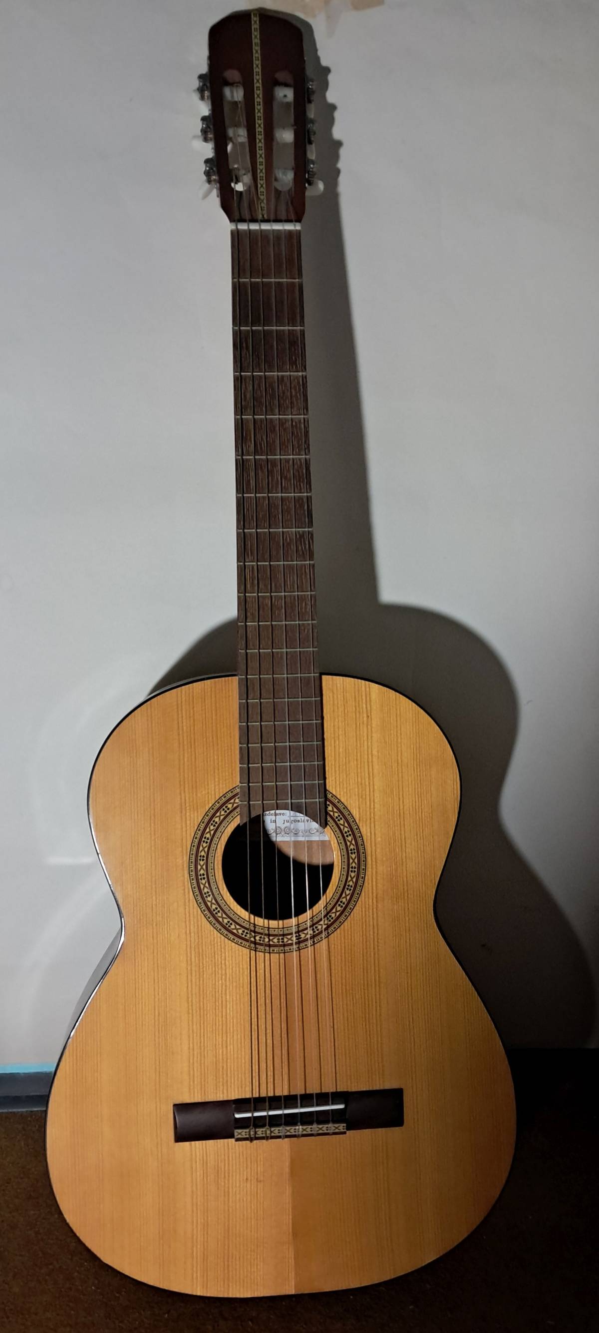 akustična gitara