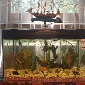 Akvarij 54 litre, sa poklopcem