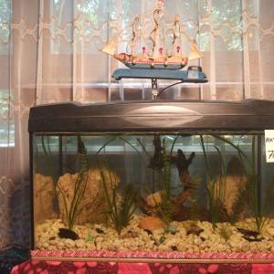 Akvarij 54 litre, sa poklopcem