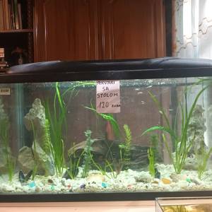 Akvarij 54 litre, sa poklopcem