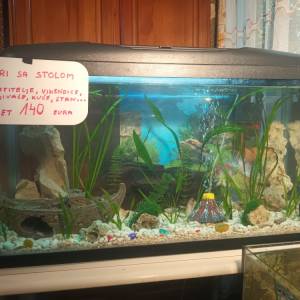 Akvarij 54 litre, sa poklopcem