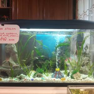 Akvarij 54 litre, sa poklopcem
