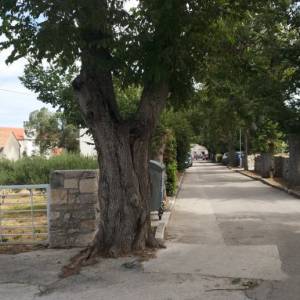 Brač, Nerežišća, građevno zemljište za prodaju,kmpletna infrastruktura