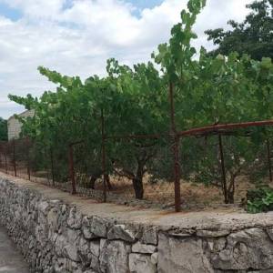 Brač, Nerežišća, građevno zemljište za prodaju,kmpletna infrastruktura