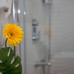 Dnevni najam Rijeka Apartman Terra I u strogom centru grada