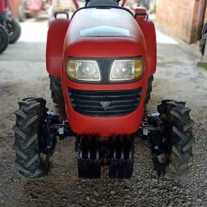 Europard 254