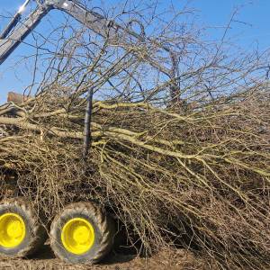 Forwarder/Ekipaza