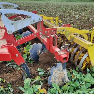 Gruber Pottinger 3020