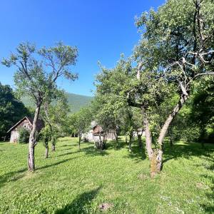 Kuća / imanje (2 nekretnine) za prodaju- Frkašić, Korenica- Lika