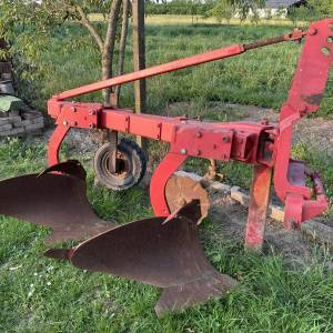 Plug vogel noot  12-18coli