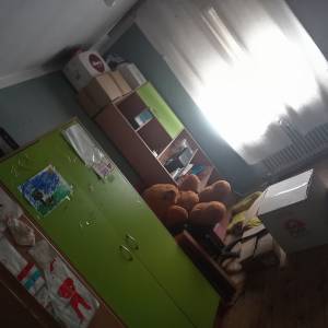 Prodajem kuću sa dvorištem i oranicom i šumom u zbjegu cijena 55.000