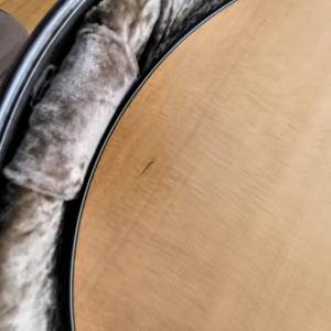 Taylor 110e gitara
