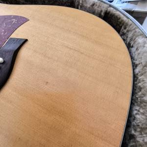 Taylor 110e gitara