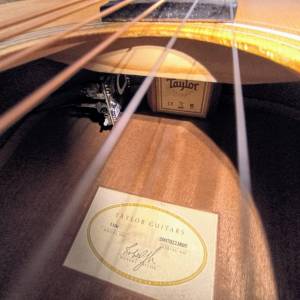 Taylor 110e gitara