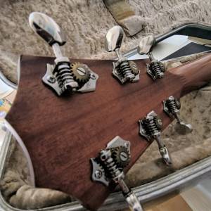 Taylor 110e gitara