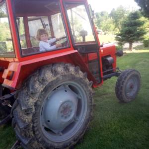 traktor tafe-tigar 42 DI 99.g moguča zamijena po dogovoru