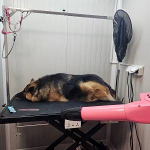 Kompletna oprema za grooming salon (salon za pse)