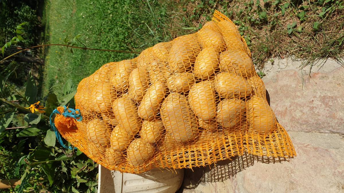Krumpir 0.80€/kg