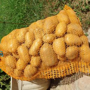 Krumpir 0.80€/kg