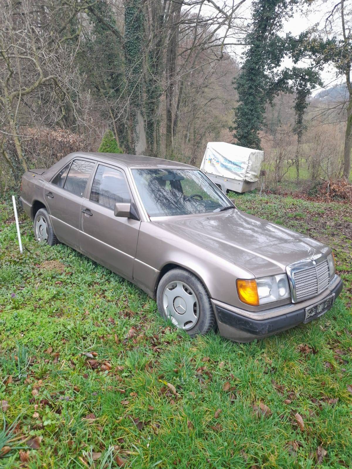 MERCEDES 250 D , NEREGISTRIRAN