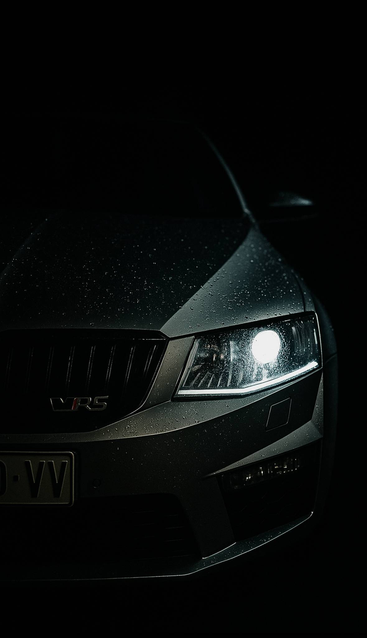 Škoda Octavia vRS 4x4 DSG F1, Panorama