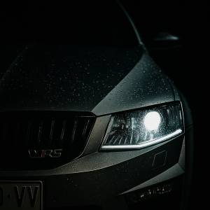 Škoda Octavia vRS 4x4 DSG F1, Panorama