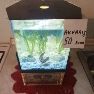 Ukrasni akvarij sa satom i svijetlom
