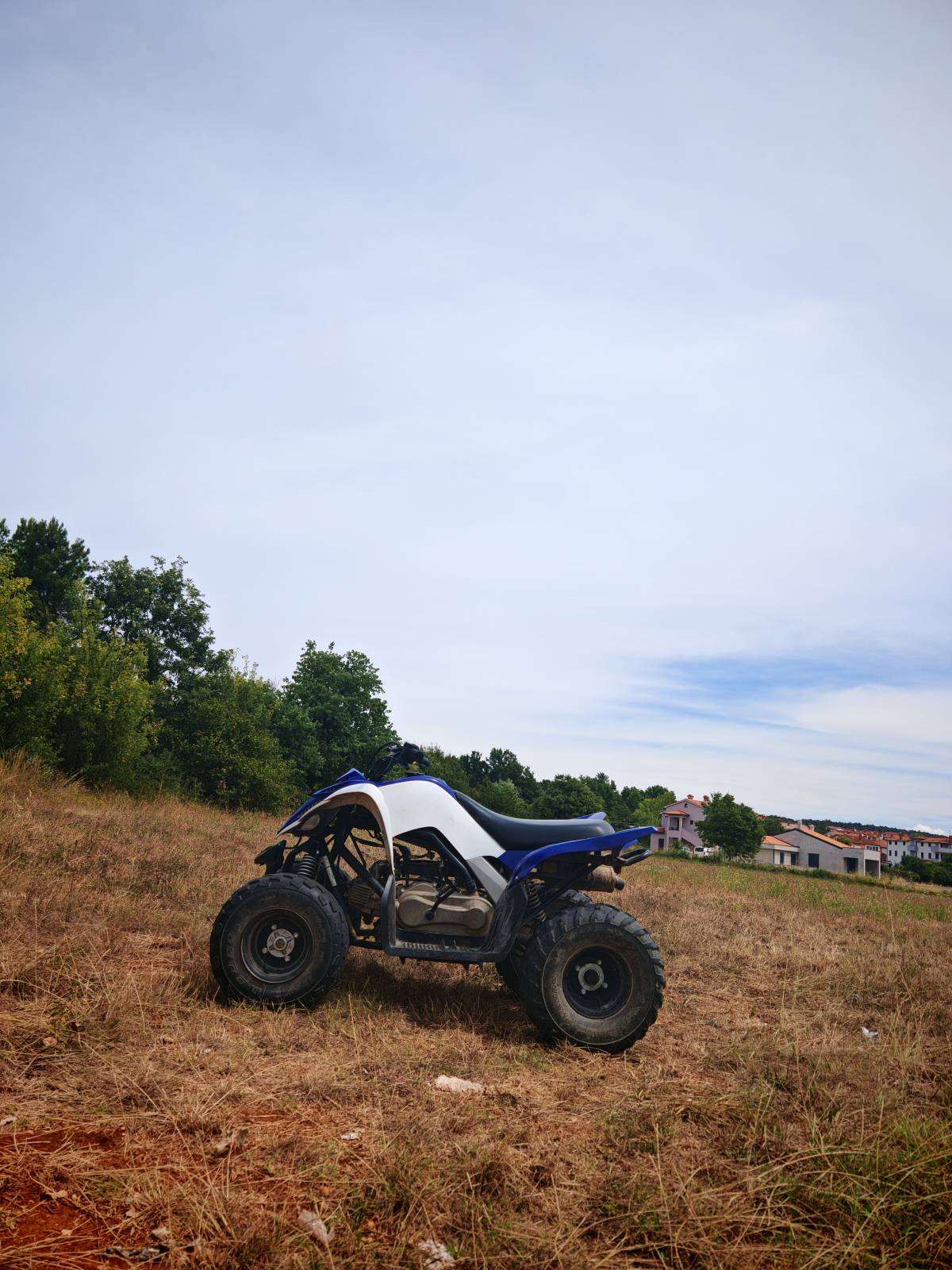 Yamaha raptor 90