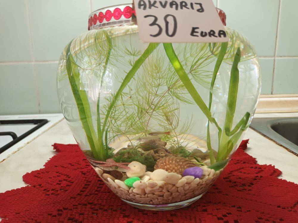 Akvarij kugla sa ribicama