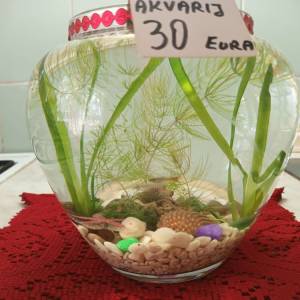 Akvarij kugla sa ribicama