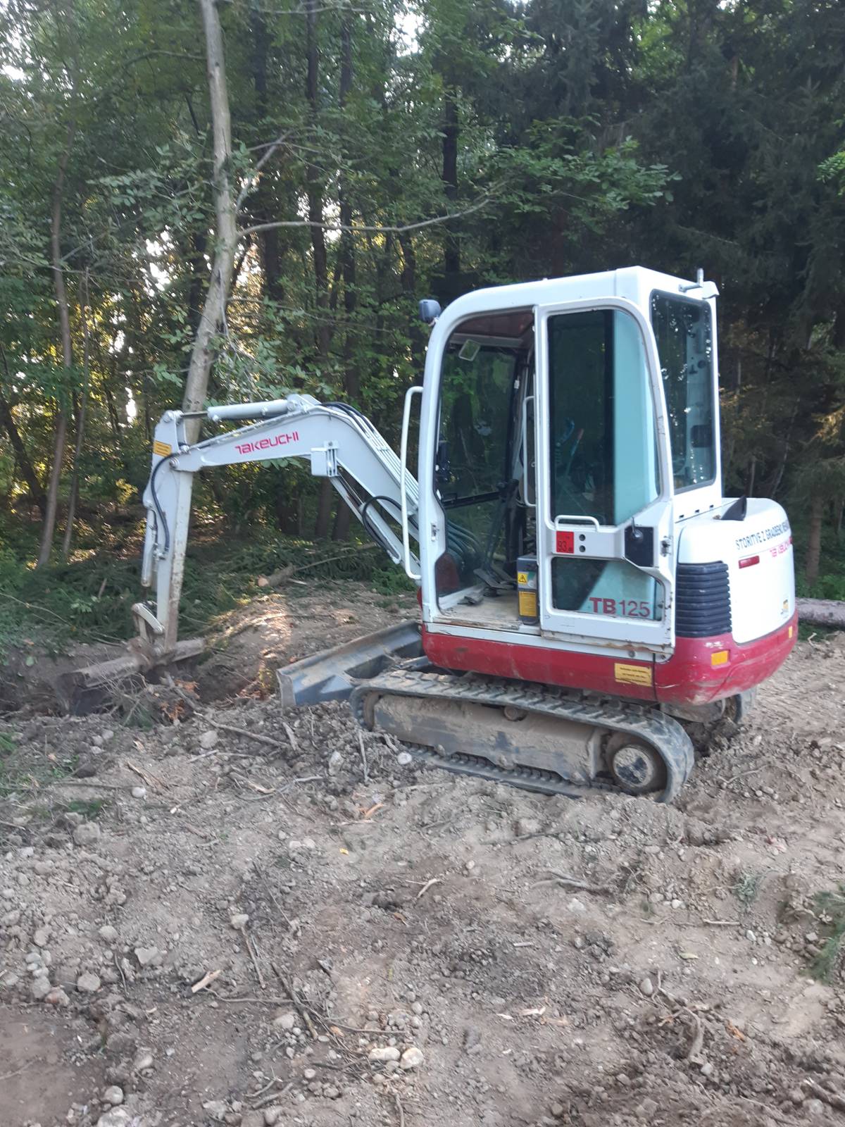 bager takeuchi 2,5 t