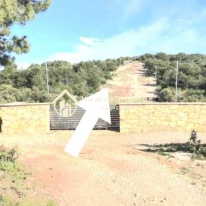 Jezera, otok Murter,prekrasno polj.zemljište 3724m2 ,100m od mora 